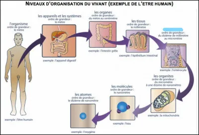 Qu'y a-t-il sous le bleu ?