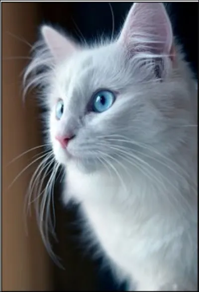 Quel est ce pelage ?