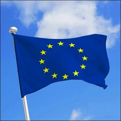 Quelle personnalité française a été le premier président de la Communauté européenne du charbon et de l'acier, ancêtre de lUnion européenne ?