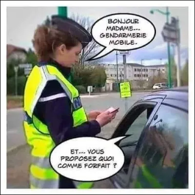 P comme couvert d'une toison &eacute;paisse !