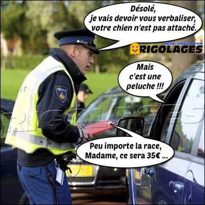 P comme ... et longueur de temps !