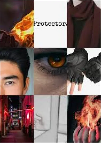 À quel personnage correspond cette aesthetic ?