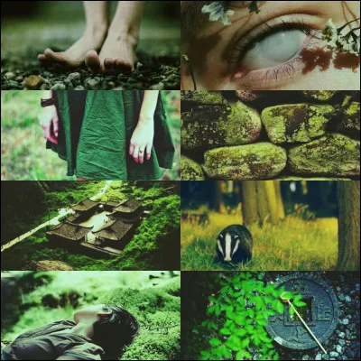 À quel personnage correspond cette aesthetic ?