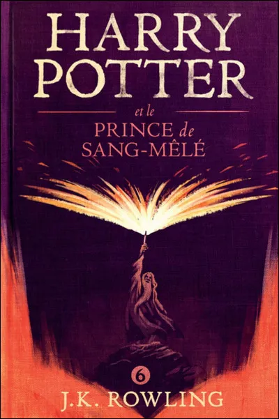 Dans "Harry Potter et le Prince de sang-mêlé", qui est, en fait, le Prince de sang-mêlé ?