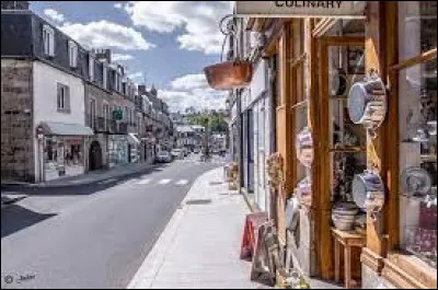 Comment appelle-t-on les habitants de Villedieu-les-Poêles, ville de la Manche connue pour sa fonderie de cloches ?