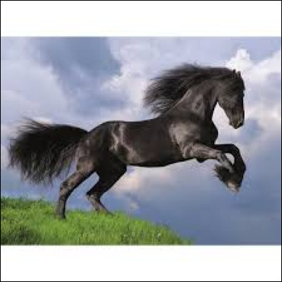 Comment se dit, en espagnol, ''cheval'' ?