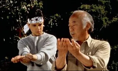 Quelles sont les trois techniques fondamentales du Miyagi-Do ?