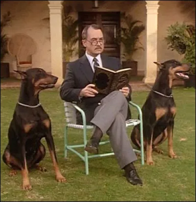 Quels sont les noms des dobermanns d'Higgins dans la série télévisée "Magnum" ?
