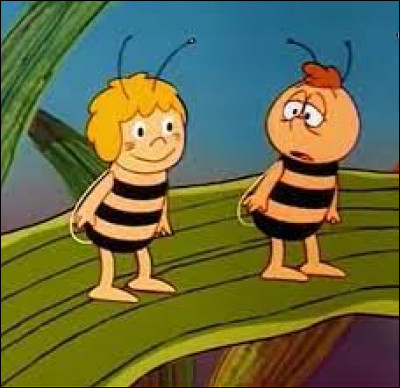 Dans le dessin animé "Maya l'abeille", comment s'appelle son meilleur ami abeille ?