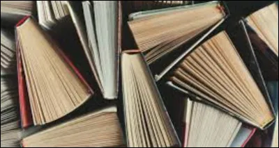 Tu as ton apr&egrave;s-midi de libre.