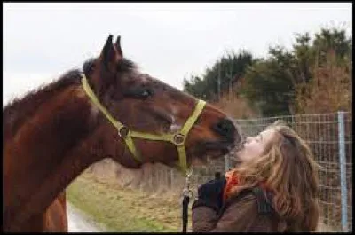 Comment avoir une bonne connexion, de bons liens avec ton cheval ou ton poney préféré ?