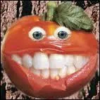 Une tomate, s'il vous plait !