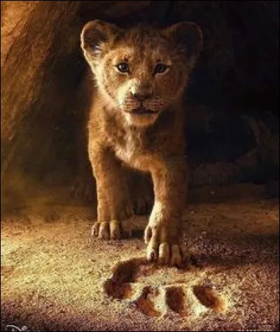 Comment s'appelle ce film Disney ?