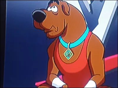 Quel est le nom de ce personnage ?