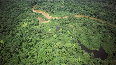 À quoi te fait penser cette image ?