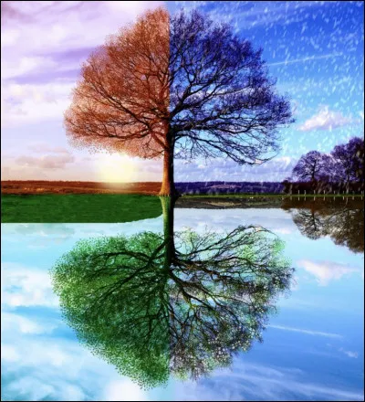 Quelle saison préfères-tu ?