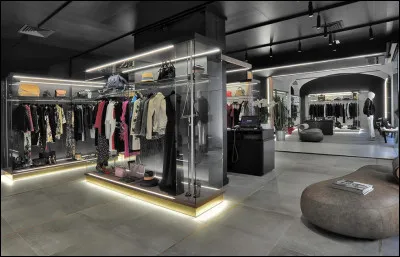 Dans quel genre de boutique vas-tu ?