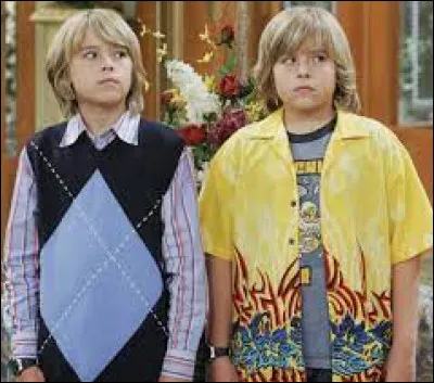 Dans quelle série de Disney Chanel découvre-t-on les jumeaux Cole et Dylan Sprouse en 2005 ?