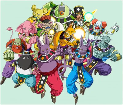 Qui est le Dieu de la Destruction de l'Univers 7 ?