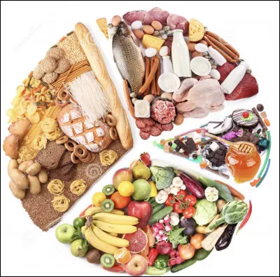 Quel plat préfères-tu manger ?