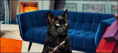 - « Donc, tu es _______ de me dire que tu as oublié dacheter mes croquettes ? Au fait, ton nouveau canapé, combien ______ coûté, déjà ? »