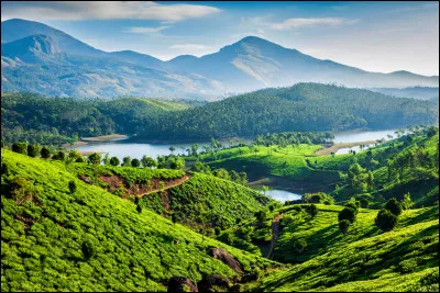 Montagnes, collines et plantations de thé forment le paysage typique de l'État du Kerala. Dans quel pays le découvrirez-vous ?