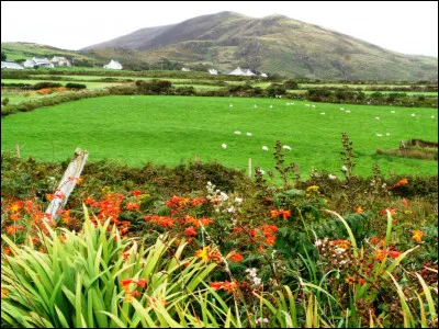 Restons sur les îles Britanniques et partons vers le comté du Kerry. Où sommes-nous ?