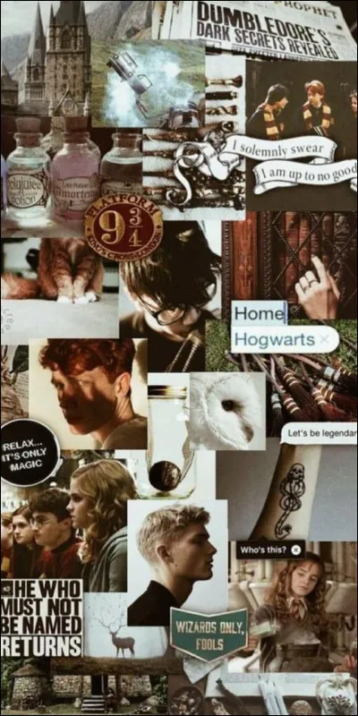 Quand tu reçois ta lettre pour Poudlard, comment-tu ?