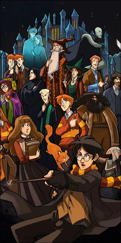 Par quelle boutique commences-tu au chemin de Traverse pour tes fournitures ?