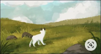 Étoile de Hibou annonce alors que tous deux vous observaient. Il félicite d'abord Nuage de Cane pour avoir défendu son clan contre un intrus, puis il te complimente ensuite pour le courage et l'ingéniosité dont tu as fait preuve. Il te demande ensuite pourquoi tu t'es aventuré dans la forêt. Que lui réponds-tu ?