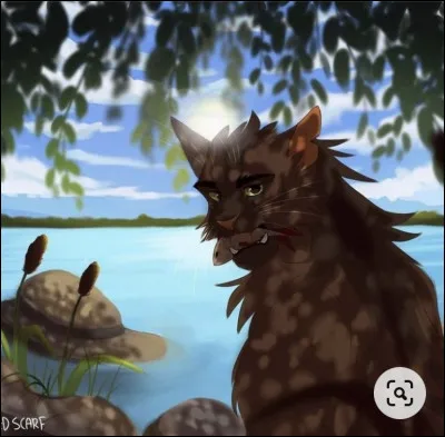 L'aube n'étant plus très loin, Étoile du Hibou saute sur un rocher au centre de la clairière et convoque une assemblée du clan. Une dizaine de chats de tous âges sortent alors de leurs abris et écoutent leur meneur te présenter. Mais tu entends la plupart d'entre eux murmurer des paroles hostiles.