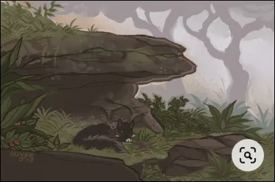 Soudain, une guerrière au pelage roux et gris lance à voix haute que le clan n'a que faire d'un chaton domestique et que tu n'as rien à faire ici. Nuage de Cane te murmure alors que cette chatte se nomme il de Pinson. Cette dernière continue de te dénigrer. Comment réagis-tu ?