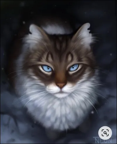 Cette fois-ci, les membres du clan ne te lancent plus d'insultes, et tu distingues même dans les yeux de certains une certaine sympathie. Nuage de Cane semble ravie. Étoile du Hibou annonce ensuite que Vent de Glace sera ton mentor, et un jeune guerrier blanc s'avance vers toi. Contre toute attente, il semble heureux et te contemple avec bienveillance. Comment réagis-tu ?