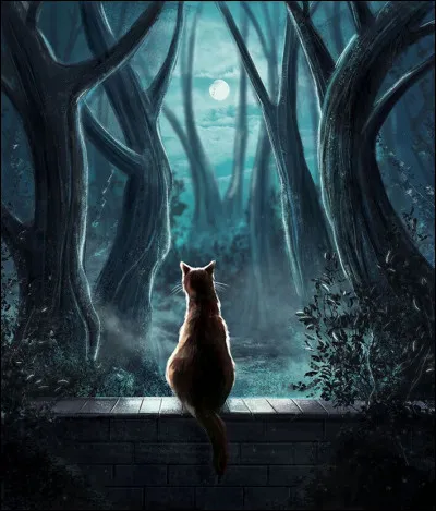 Finalement, tu te recouches, et tentes de te rendormir... sans succès. Alors, très prudemment, tu te rends à l'entrée de ton jardin, et restes longtemps assis à scruter l'orée de la forêt. Tu sembles étrangement attiré par ses profondeurs. Poussé par tu-ne-sais quoi, tu t'avances lentement sous les arbres. Soudain, un craquement retentit ! Comment réagis-tu ?