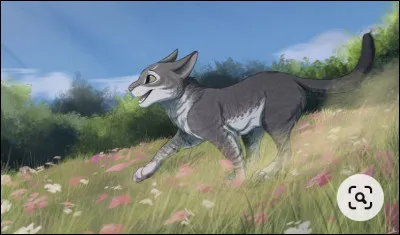 Nuage de Cane t'apprends alors qu'elle est une chatte sauvage, appartenant au clan du Tonnerre. Tu lui poses alors des questions sur ce clan dont tu ignores tout. Elle te révèle alors bien des choses sur la vie des quatre clans : les tribus ennemies, la trêve de la pleine lune, les patrouilles, les différents statuts... Comment réagis-tu ?