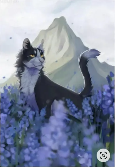 Tu t'apprêtes à lui poser d'autres questions lorsqu'un imposant matou brun sort d'un fourré et s'approche de vous. Aussitôt, Nuage de Cane s'incline devant lui. Une chatte rousse et blanche arrive à son tour. Nuage de Cane te chuchote alors qu'il s'agit d'Étoile du Hibou et de Feuille Dansante, le meneur et le lieutenant de son clan ! Comment réagis-tu ?