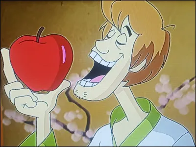 Quel est le nom de ce personnage ?