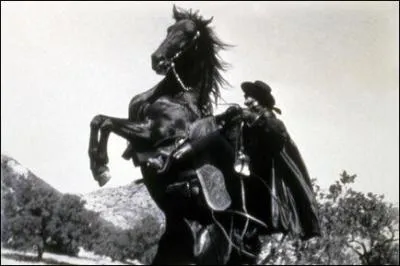 Don Diego de la Vega est un noble vivant en Californie  l're coloniale espagnole, mais lorsque vient une injustice, il devient un justicier masqu pour dfendre les opprims :