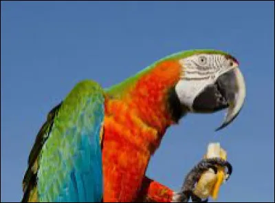 Tu pr&eacute;f&egrave;res qu'on te r&eacute;p&egrave;te 1000 fois : "Tu es toi", "Tu vois la vie en rose", "I'm happy" ou "Range ta chambre" ?
