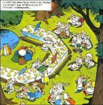 Quel est le nom de la forêt dans laquelle se déroule la réunion des druides dans "Astérix et les Goths" ?