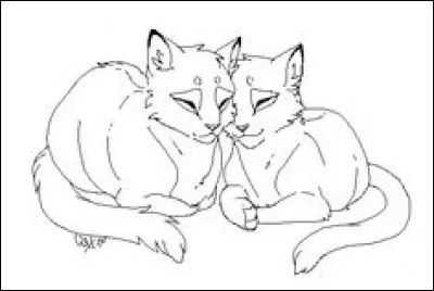 Qui est sa compagne ?