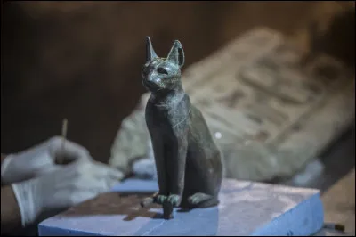 Meurt-il avant le cycle 6 ?