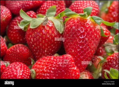 Comment dit-on "rouge" en espagnol ?