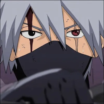 Comment sappelle le père de Kakashi Hatake ?