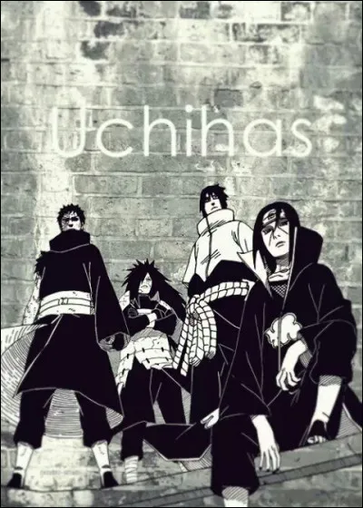 Qui avait envie de devenir Hokage ?