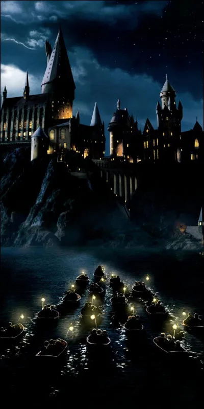 De quelle couleur sont tes cheveux ?