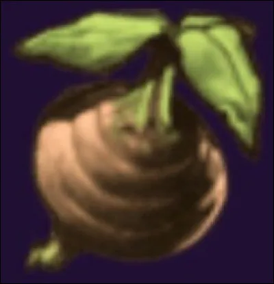 En quelle année étudions-nous le Bulbe sauteur ?