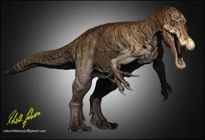 De quel dinosaure s'agit-il ?