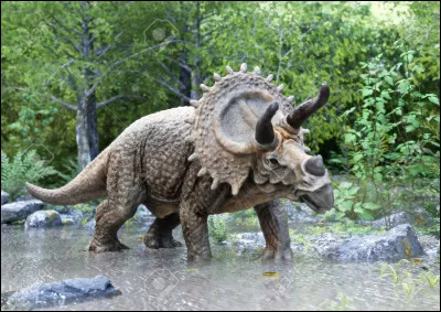 De quel dinosaure s'agit-il ?