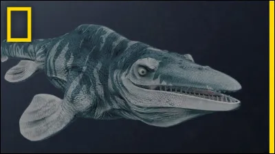 De quel dinosaure s'agit-il ?